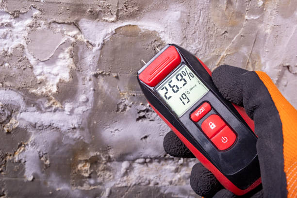 Best Mold Remediation  in Seadrift, TX