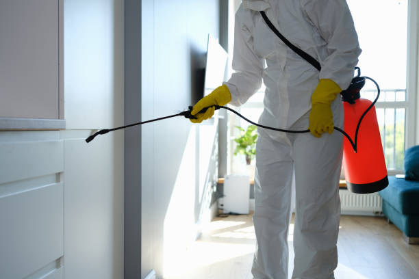 Best Mold Cleaning Services  in Seadrift, TX