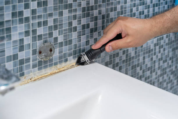 Best Mold Cleaning Services  in Seadrift, TX