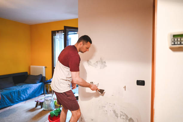 Seadrift, TX Mold Removal Company