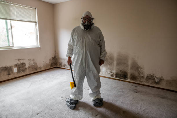 Water Damage Restoration in Seadrift, TX